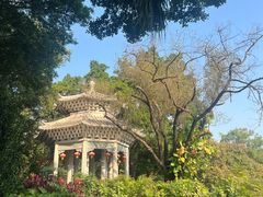 -荔湾湖公园