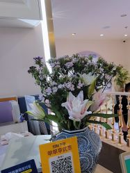 -名媛颜蕙·LPG官方旗舰店