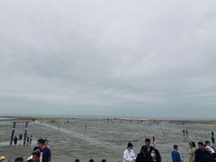 -刘家湾赶海园