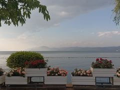 -洱海月湿地公园