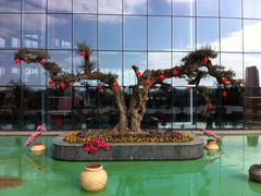 -南通洲际绿博园