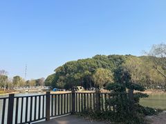 -九科绿洲
