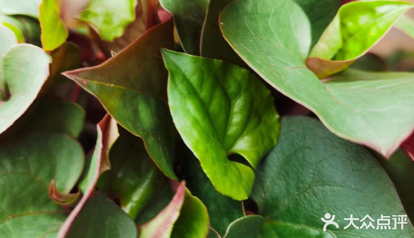 居家防疫期间，许多人厨艺见长