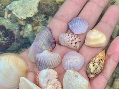 -三亚西岛海洋文化旅游区