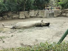 -成都动物园