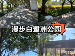 -白鹭洲公园
