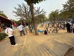 -宝安西湾红树林湿地公园