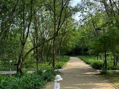 -西湖风景区-江洋畈生态公园
