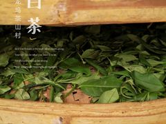 -龙坞茶村