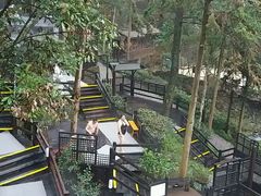 -宁海森林温泉