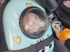 -安安宠医·安宠宠物医院