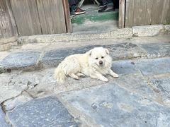 -涵家味土菜馆·徽州一绝臭鳜鱼(三河古镇店)