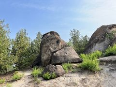 -白水寺森林公园