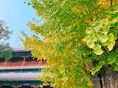 -潭柘寺景区