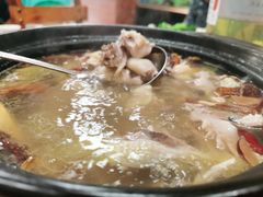 五指毛桃浸鸡-老客家美食• 竹筒饭• 河鲜(龙门永汉店)