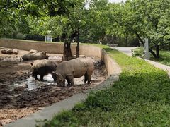 -西安秦岭野生动物园