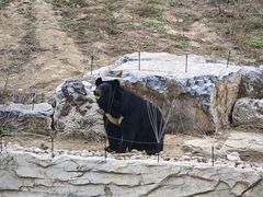 -太原动物园