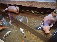 -石涧故事·私房菜(紫云路店)
