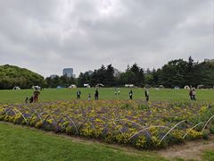 -世纪公园-1号门停车场