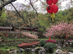 -杭州西湖风景名胜区-三生石