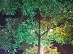 -罗妈砂锅(四川成都奎星楼店)