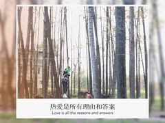 -林间山庄