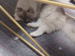 -零纪元VR体验馆·桌游(黄浦店)