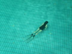 -重庆市奥林匹克体育中心-游泳跳水馆