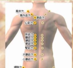 -苗塑堂减肥艾灸