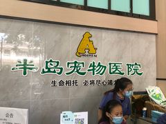 -半岛宠物医院24小时(科华中路店)