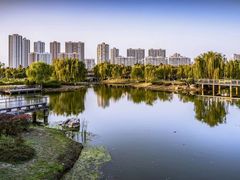 -贡湖湾湿地公园