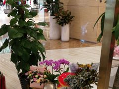 -花邻FloweringLife花艺气球派对(武康大楼店)