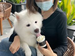 -星巴克臻选(广州二沙岛文立方店)