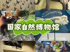-国家自然博物馆