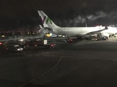 -约翰·菲茨杰拉德·肯尼迪国际机场