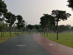 -万绿园