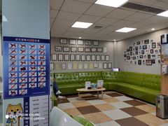 -奈斯宠物医院·核磁CT·异宠专科·内镜(中南店)