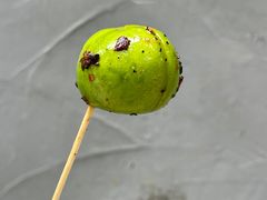 傣味李子-雪儿钱局泡菜