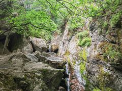 -牛背梁国家森林公园