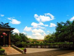 -南宁良凤江国家森林公园