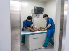 -爱侣·安琦尔宠物医院·中兽医针灸·心内科·狂犬免疫点(宝山区院)