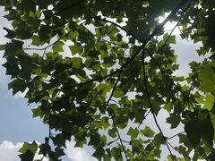 -白塘生态植物园