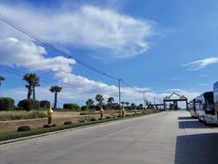 -东芭乐园