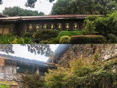 -中国茶叶博物馆(双峰馆区)