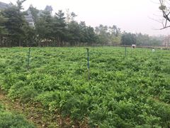 -清远熹乐谷温泉度假酒店