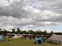 -春花秋色城市公园