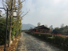 -帐篷客·溪龙茶谷度假酒店