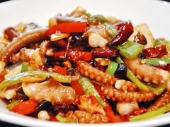辣炒八爪鱼-胶东海鲜大排档(北太平庄店)
