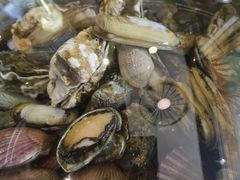 -禾记海鲜烧烤(八一路店)