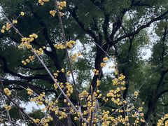 -蜀冈西峰生态公园